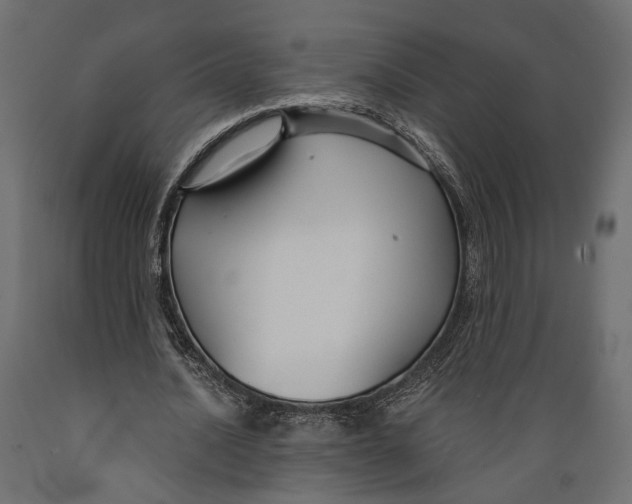 X0000088880628200707061411