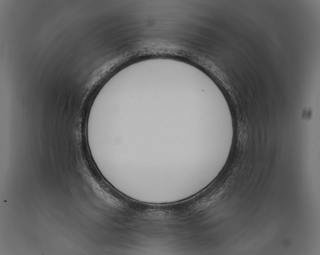 X0000088880629200707061411
