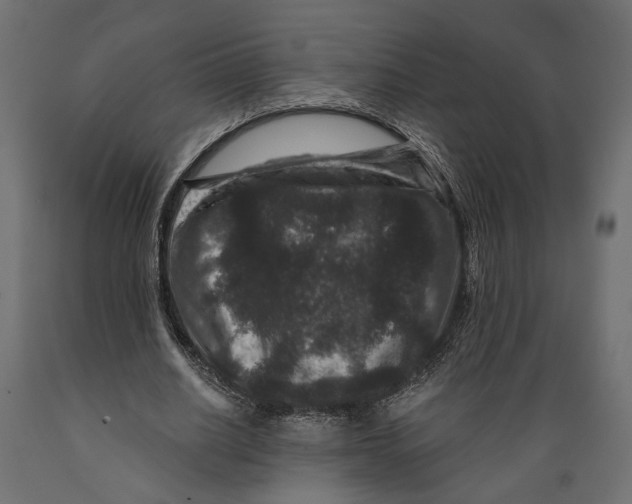 X0000088880630200707061411