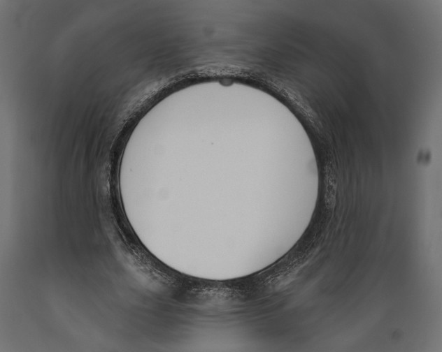 X0000088880631200707061411
