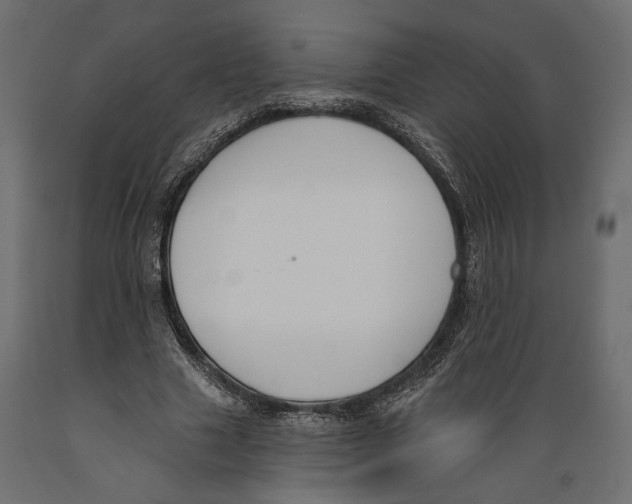 X0000088880633200707061411