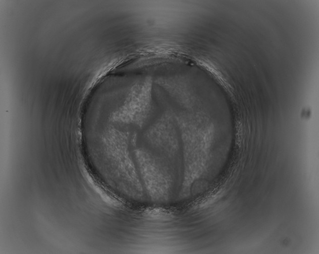 X0000088880634200707061411