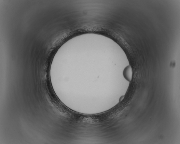 X0000088880635200707061411