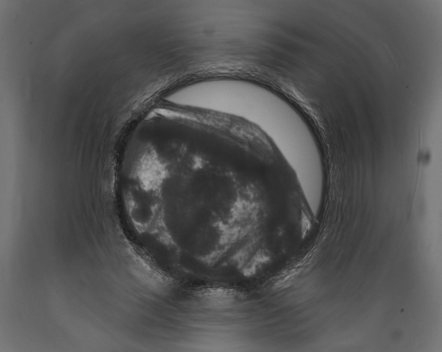 X0000088880637200707061411