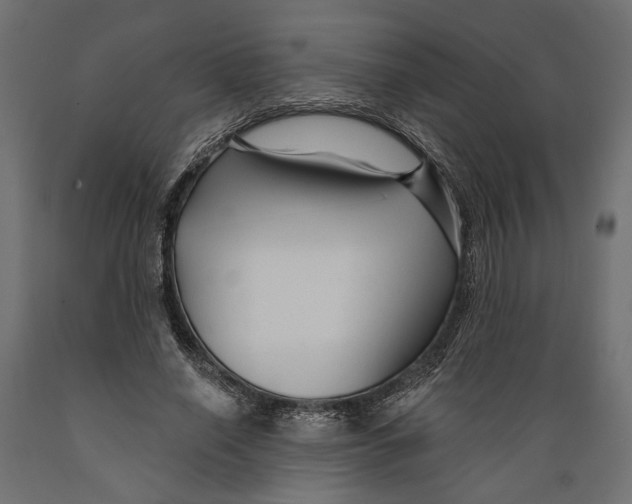 X0000088880638200707061411