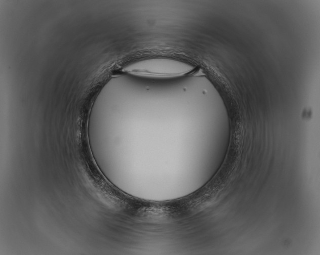 X0000088880639200707061411