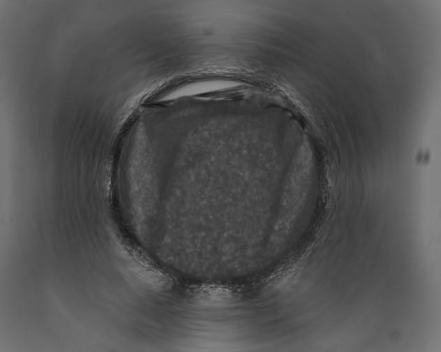 X0000088880640200707061411