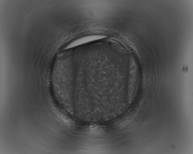 X0000088880641200707061411