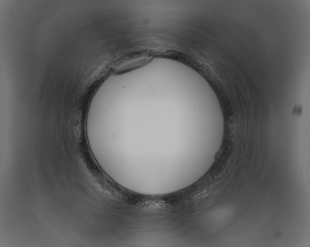 X0000088880642200707061411