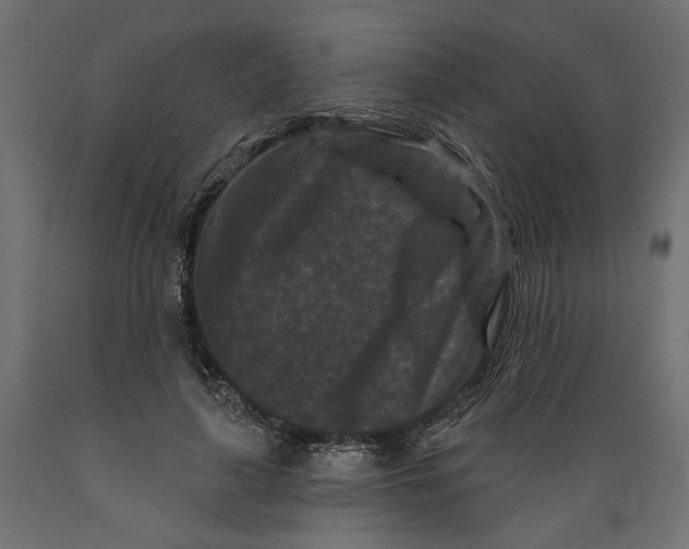 X0000088880643200707061411