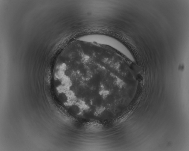 X0000088880644200707061411