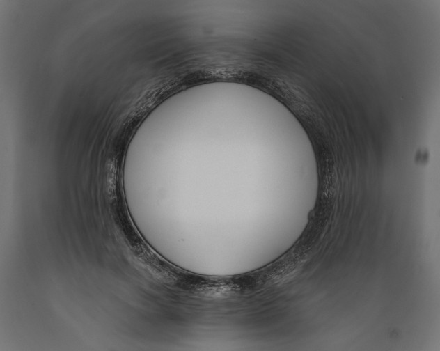 X0000088880646200707061411