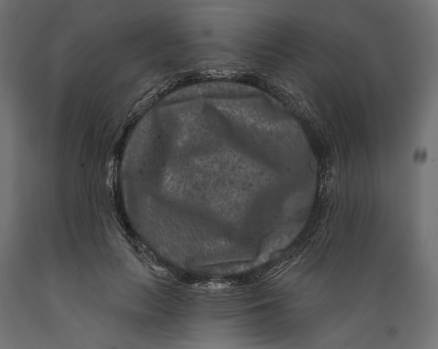 X0000088880647200707061411