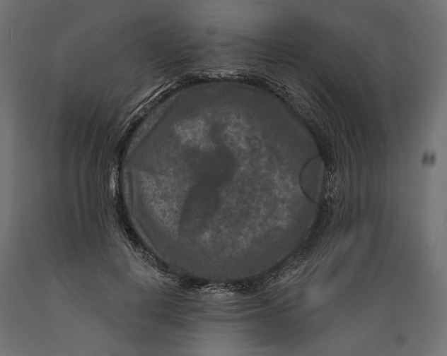X0000088880648200707061411