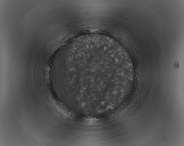 X0000088880650200707061411