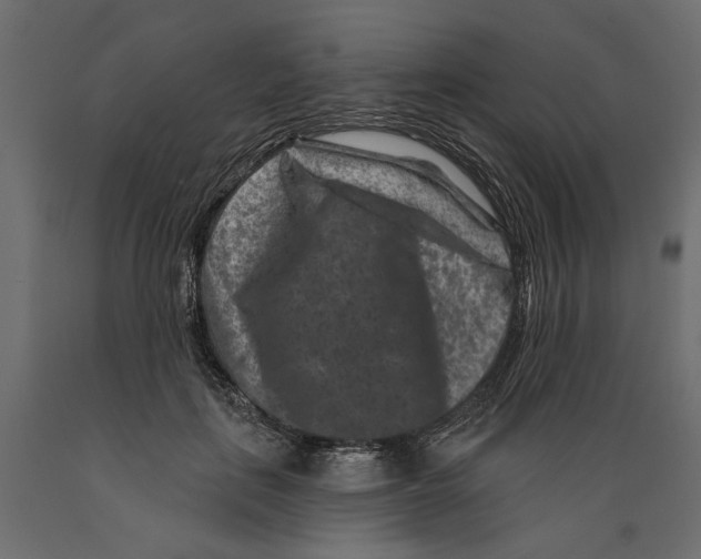 X0000088880651200707061411