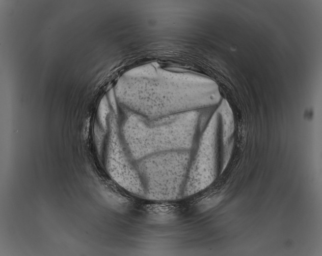 X0000088880652200707061411