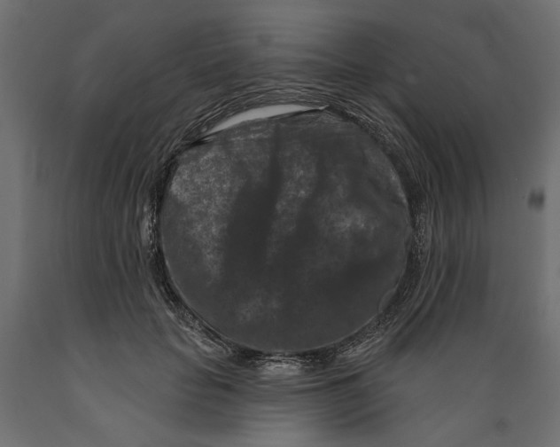 X0000088880653200707061411