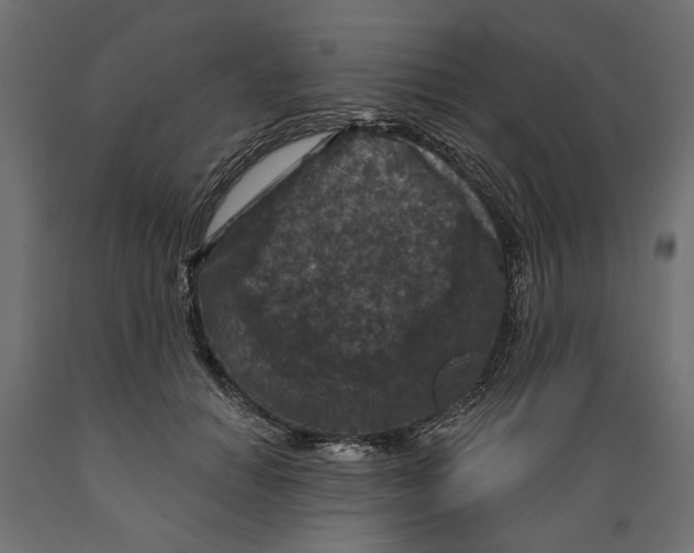 X0000088880654200707061411