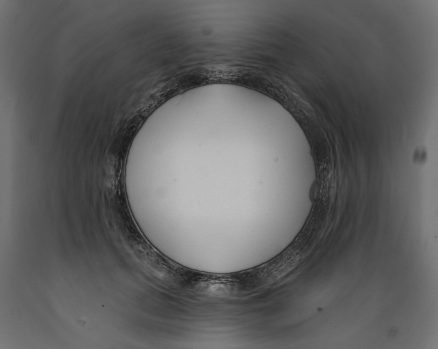 X0000088880655200707061411