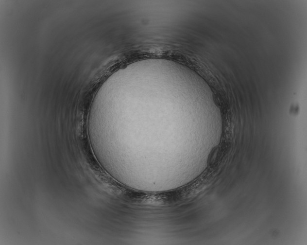 X0000088880656200707061411