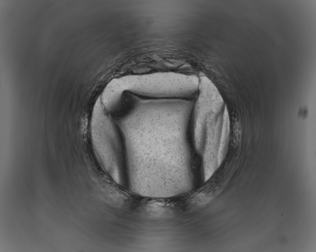 X0000088880657200707061411