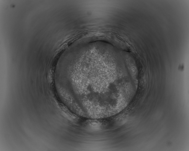 X0000088880658200707061411