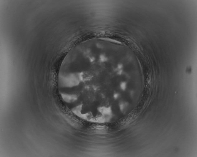 X0000088880659200707061411