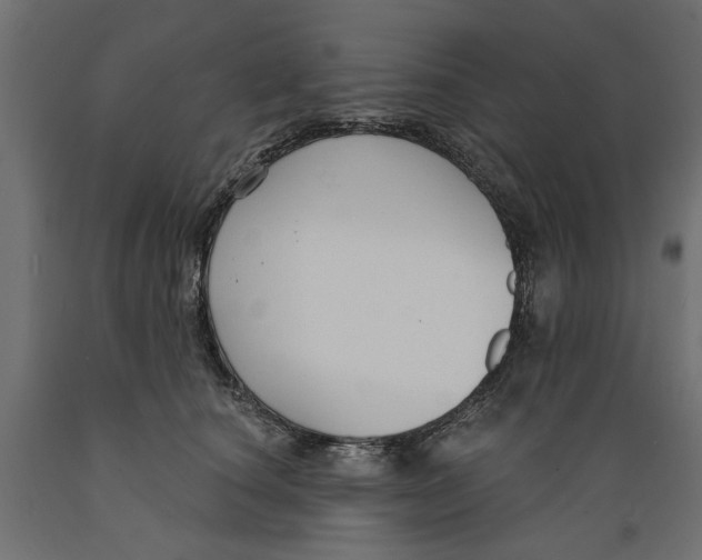 X0000088880660200707061411