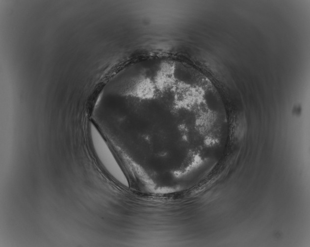 X0000088880661200707061411