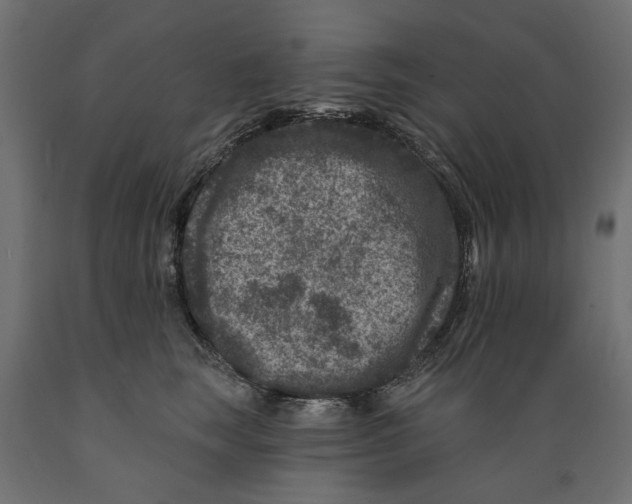 X0000088880663200707061411