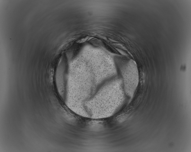 X0000088880664200707061411