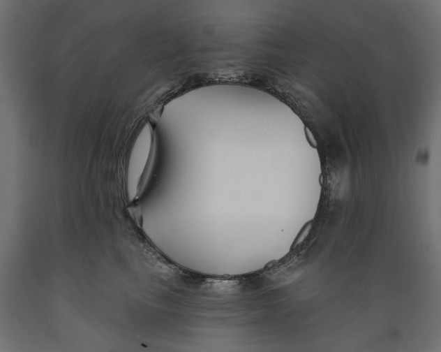 X0000088880665200707061411