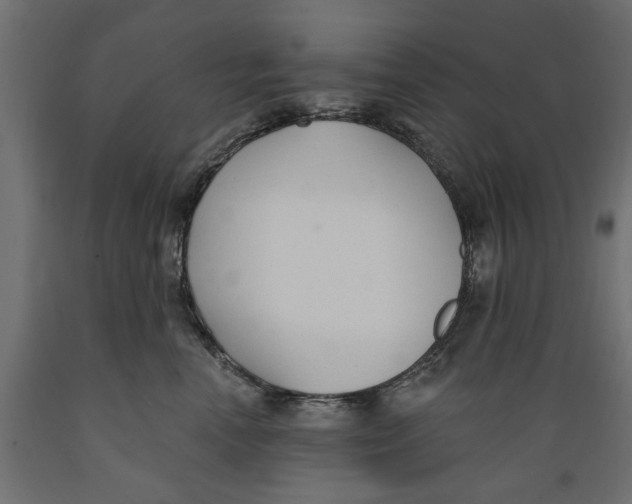 X0000088880666200707061411