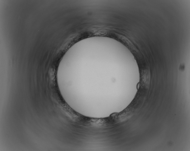 X0000088880667200707061411