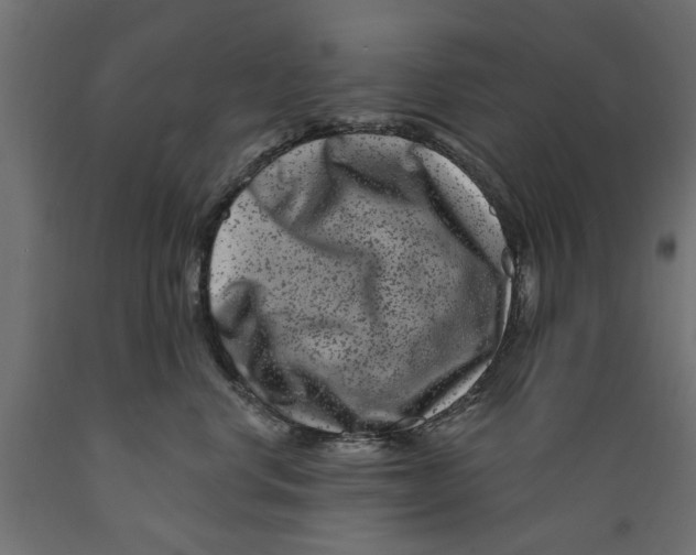 X0000088880668200707061411