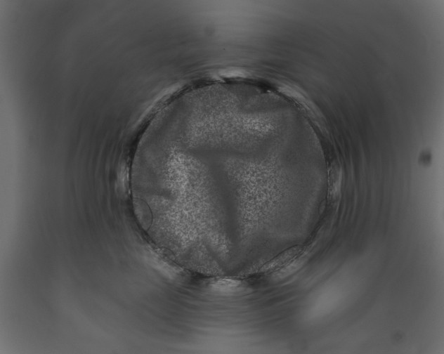 X0000088880669200707061411