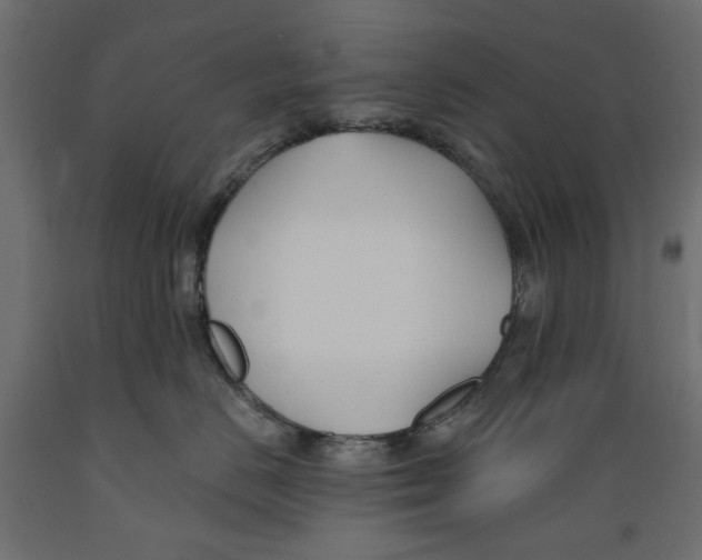 X0000088880670200707061411