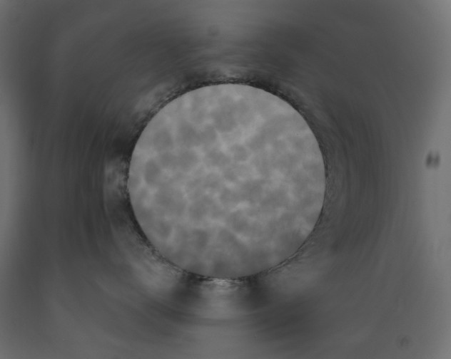 X0000088880672200707061411