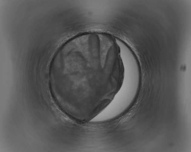 X0000088880673200707061411