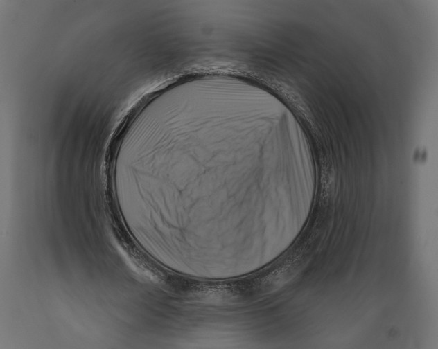 X0000088880674200707061411