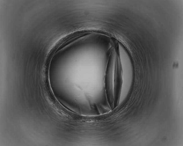 X0000088880676200707061411