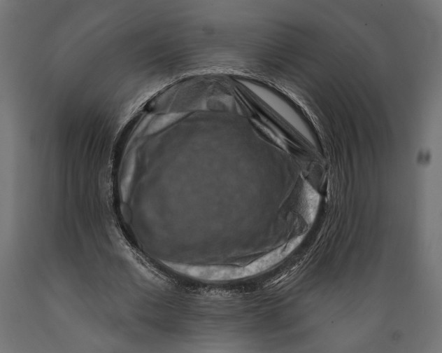 X0000088880677200707061411