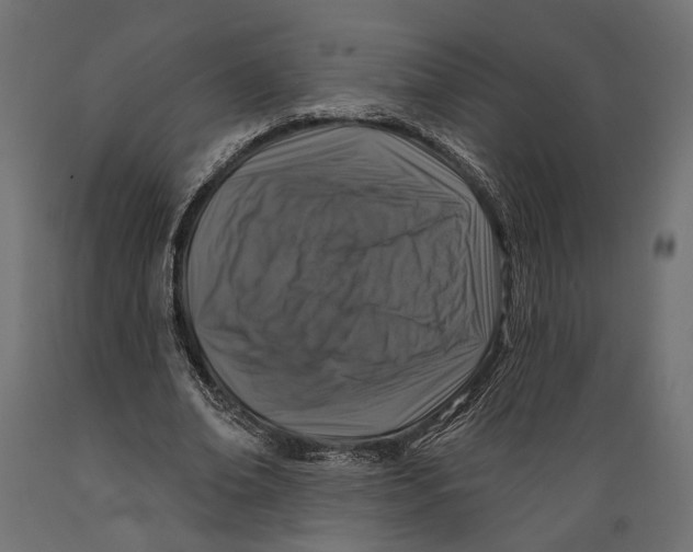 X0000088880678200707061411