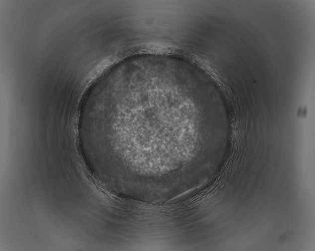 X0000088880679200707061411