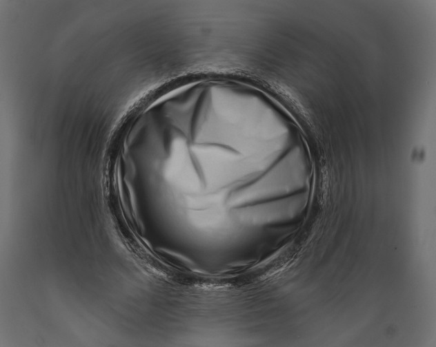 X0000088880680200707061411