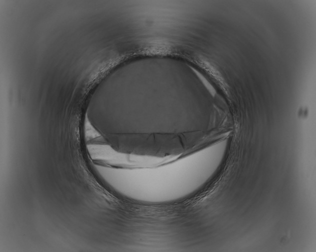 X0000088880681200707061411