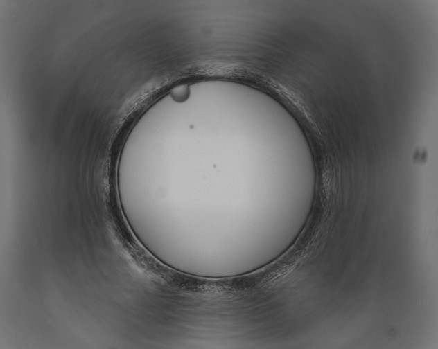 X0000088880682200707061411