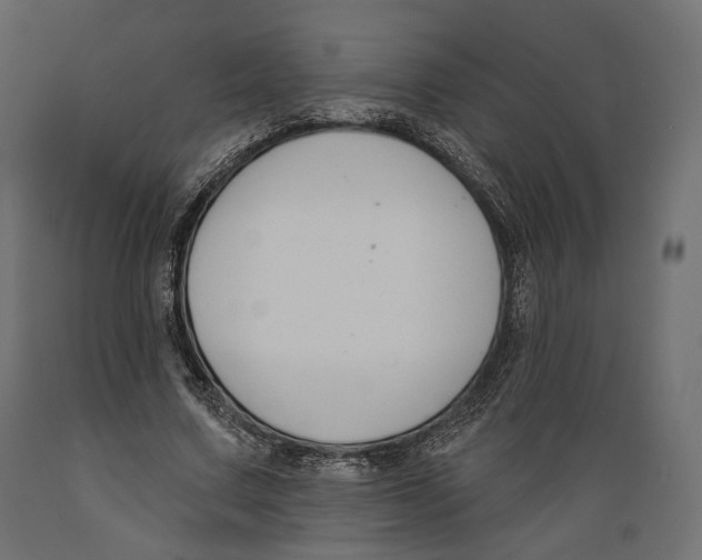 X0000088880683200707061411
