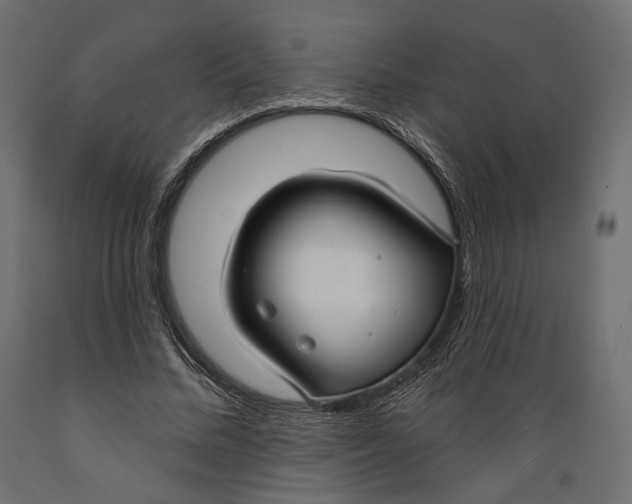 X0000088880684200707061411